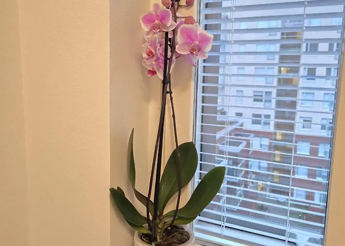 Viherpihan Toivo I 5g I Free Parking I Sauna Espoo