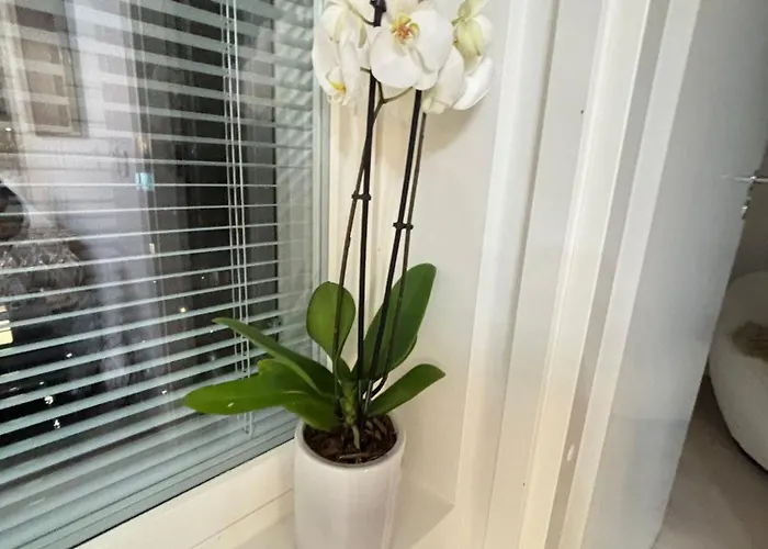 Viherpihan Toivo I 5g I Free Parking I Sauna *